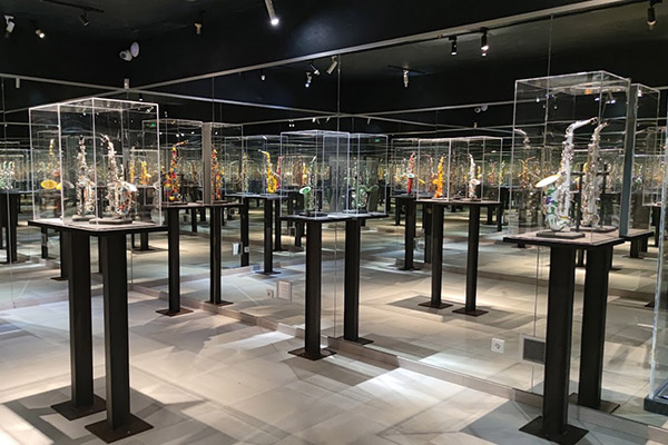 Ruta Templarios y su leyenda