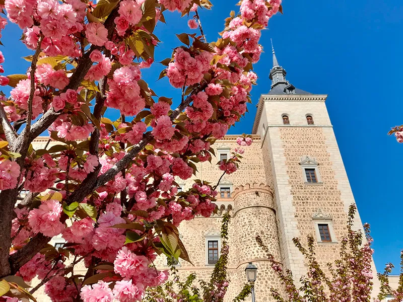 Visita oficial del museo del Ejército en el Alcázar de Toledo - Imagen 2